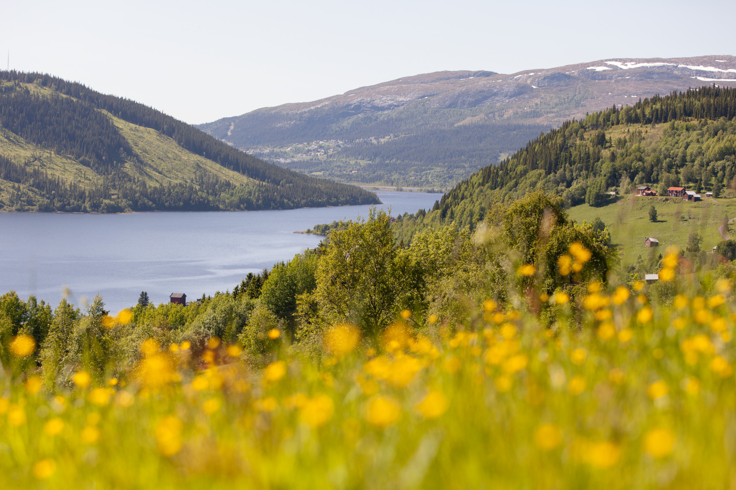 Jämtland Härjedalen | Team Sweden
