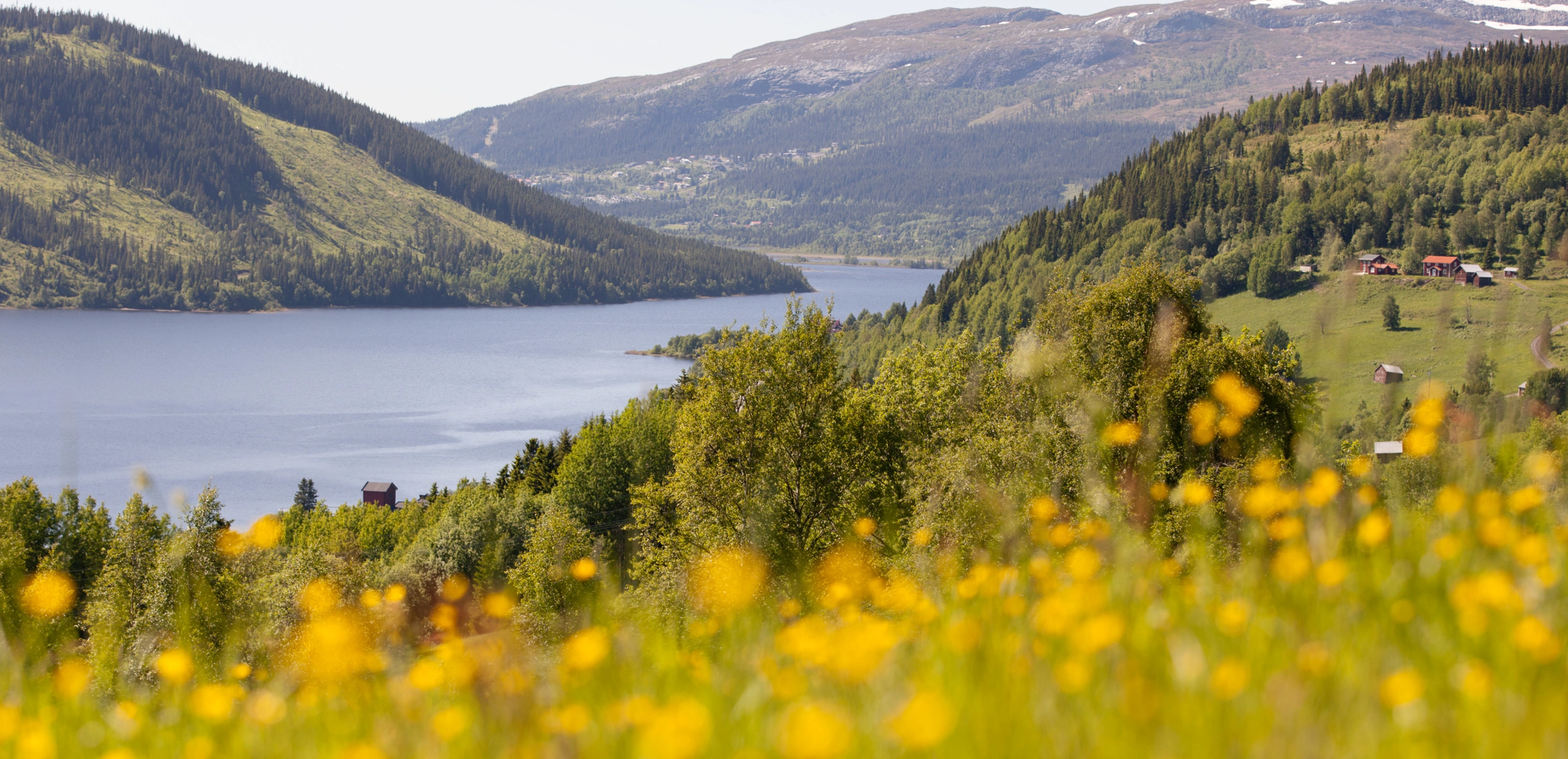 Jämtland Härjedalen | Team Sweden